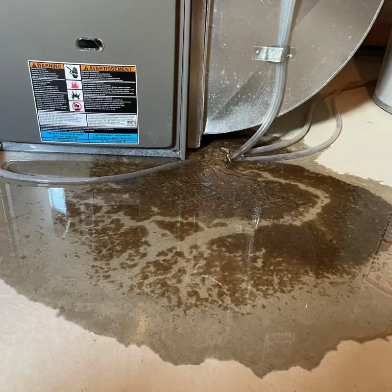Appliance Leak Cleanup in Reston, VA