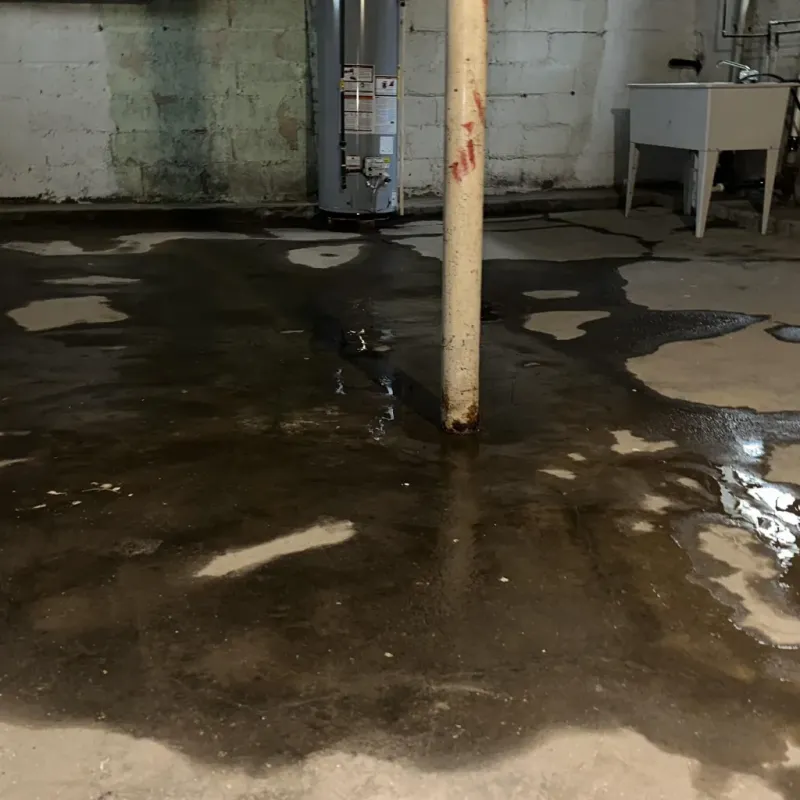 Emergency Water Extraction And Removal in Reston, VA